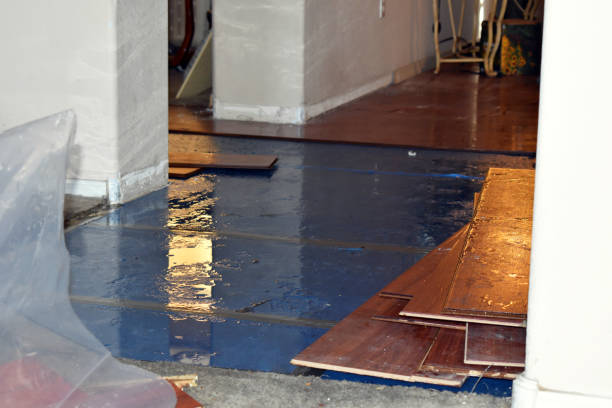 Professional Sewage Cleanup technician working in Delavan, IL